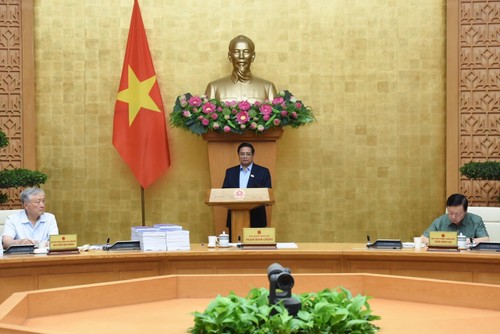 PM wants greater decentralization, delegation of power coupled with appropriate resource allocation - ảnh 1