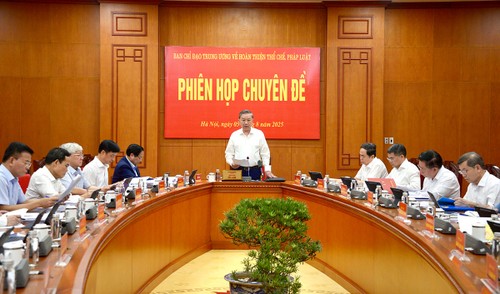 Party leader urges prompt resolution of institutional, legal bottlenecks - ảnh 1