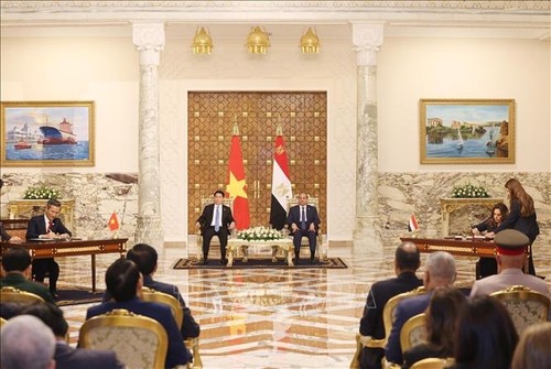 Vietnam, Egypt elevate ties to Comprehensive Partnership  - ảnh 2