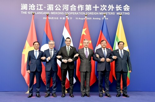 Vietnam proposes three-pronged strategy for Mekong-Lancang Cooperation  - ảnh 1
