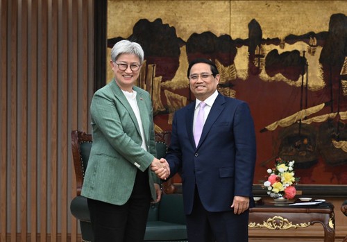 PM calls for efforts to raise Vietnam-Australia trade to 20 billion USD - ảnh 1