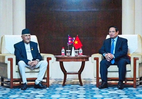Vietnam, Nepal seek to bolster traditional friendship - ảnh 1