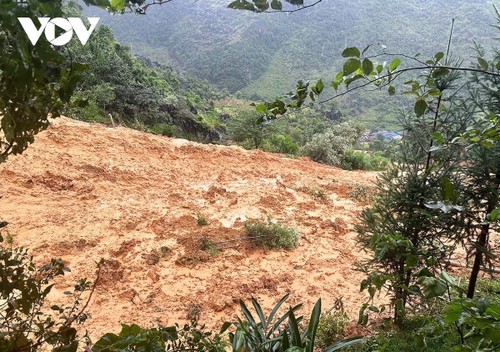 Typhoon Bualoi leaves more than 40 dead or missing - ảnh 1