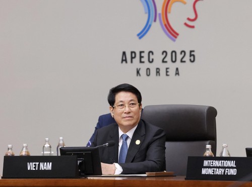 Vietnamese President proposes ways to reinforce APEC economies’ resilience  - ảnh 1