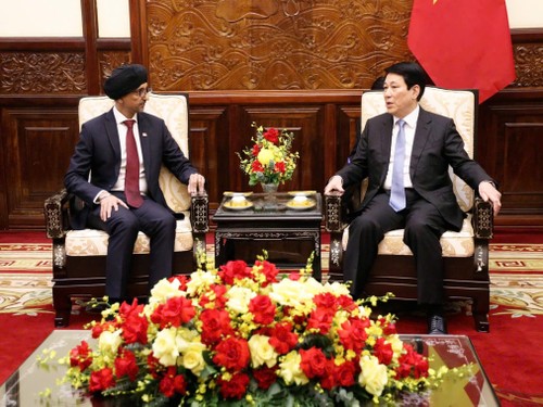 Vietnam deepens ties with partners as State President welcomes incoming Ambassadors - ảnh 1