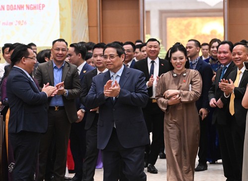 Domestic firms urged to drive double-digit growth - ảnh 1