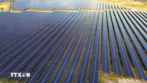 Vietnam has strong foundations for energy and fuel self-reliance: Australian expert - ảnh 1