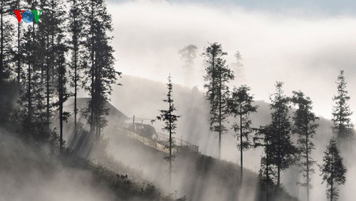 ภาพที่สวยงามของเมือง Sapa- เมืองแห่งทะเลหมอกที่จังหวัด Lao Cai - ảnh 4