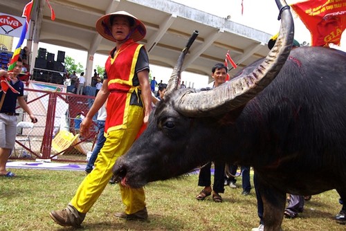 เมืองท่าไฮฟอง เป็นดินแดนที่มีวัฒนธรรมสืบทอดยาวนาน - ảnh 1