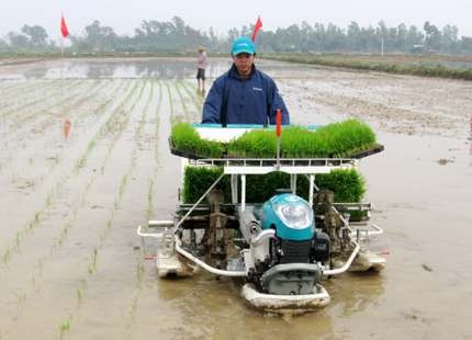 การใช้เครื่องจักรในการพัฒนาการเกษตรเพื่อเพิ่มประสิทธิภาพการผลิต - ảnh 1