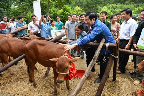 ประธานประเทศมอบของขวัญให้แก่ครอบครัวที่ยากจนในจังหวัดเอียนบ๊าย - ảnh 1