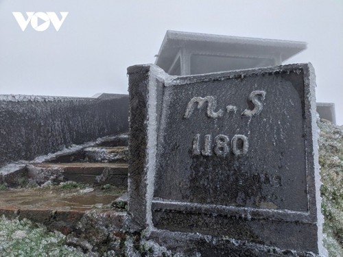 ปรากฏการณ์ “น้ำค้างแข็ง” ในหลายพื้นที่เขตเขาภาคเหนือเวียดนาม - ảnh 2