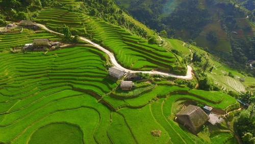 ความสวยงามของหมู่บ้านส่าฝิ่นในจังหวัดห่ายาง  - ảnh 1