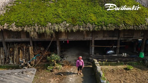 ความสวยงามของหมู่บ้านส่าฝิ่นในจังหวัดห่ายาง  - ảnh 5