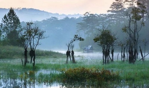 ความสวยงามของทะเลสาบเตวี่ยนเลิมในเมืองดาลัด - ảnh 6