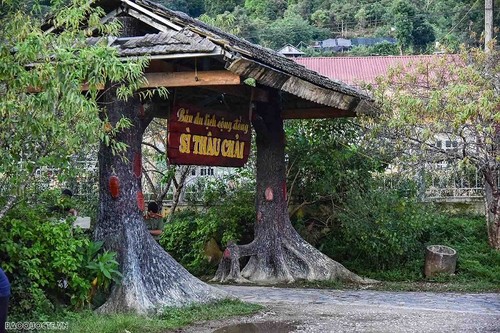 เที่ยวหมู่บ้านท่องเที่ยวชุมชน  Sì Thâu Chải - ảnh 2