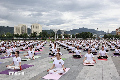 เวียดนามรำลึก 10 ปีวันโยคะสากล - ảnh 1