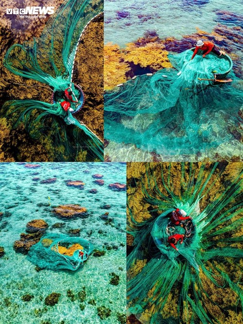 ทิวทัศน์ธรรมชาติอันสวยงามตระการตาในจังหวัดบิ่งดิ่ง - ảnh 4