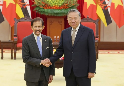 เลขาธิการใหญ่พรรค โตเลิม ให้การต้อนรับสุลต่านแห่งบรูไน - ảnh 1