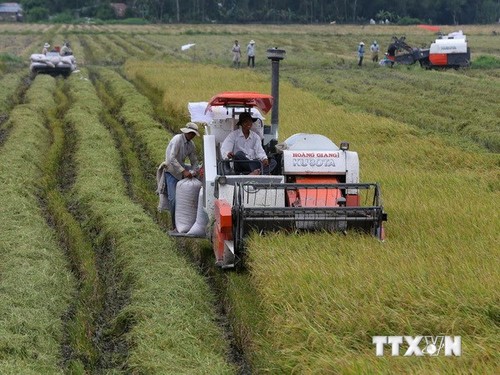 President Truong Tan Sang visits southwestern region steering committee - ảnh 1