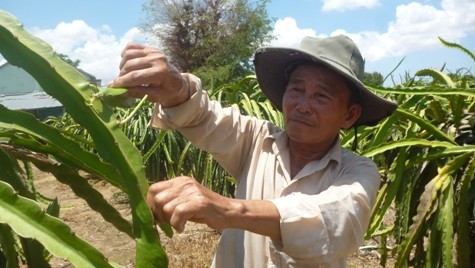 War veteran Truong Van Kiet - ảnh 1