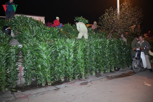 Quang Ba night flower market - ảnh 11