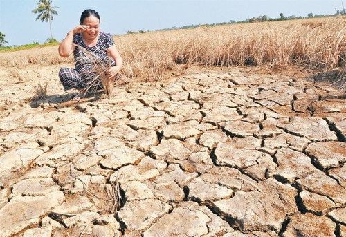 Climate change adaptation in Mekong delta - ảnh 1