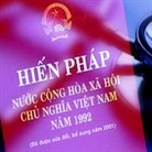 继续完善1992年宪法修正案 - ảnh 1