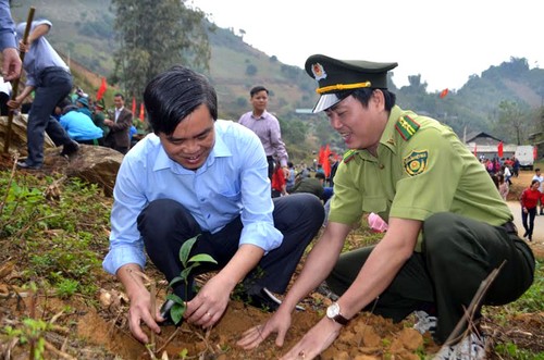 安沛省举行植树节 - ảnh 1