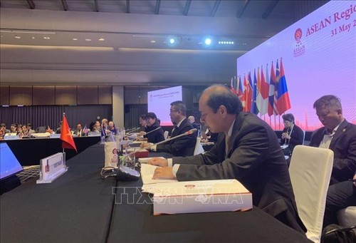 越南参加在泰国举行的东盟加三高官会和东亚峰会 - ảnh 1