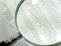 Staatsrechnungshof verbessert das öffentliche Finanzwesen - ảnh 1