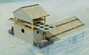 Das Hausmodell gegen den Klimawandel - ảnh 1