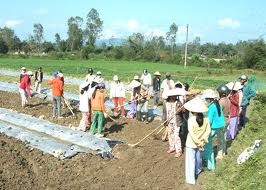 Ausbildung von Arbeitskräften in entlegenen Gebieten - ảnh 1