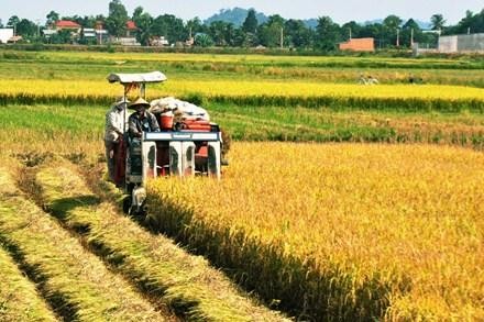 Ausbau des Markenzeichens vietnamesischer Landwirtschaftsprodukte - ảnh 1