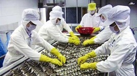 Protest gegen US-Handelsministerium wegen Strafzöllen für Garnelen aus Vietnam - ảnh 1