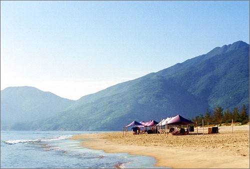 Hissen der Nationalflagge auf der Spratly-Inselgruppe - ảnh 1
