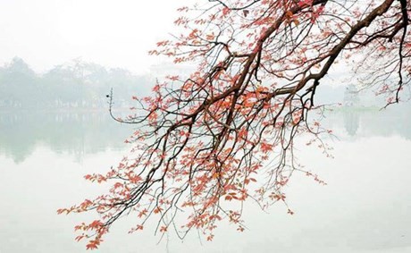 Ausstellung „Warme Decken“ für Kinder in Bergregionen - ảnh 1