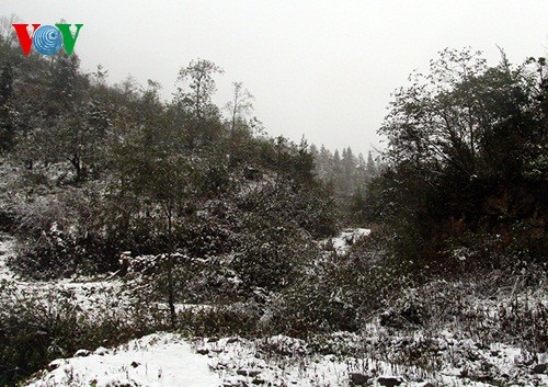 Schnee in Sapa - ảnh 4