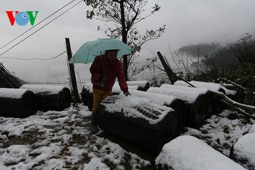 Schnee in Sapa - ảnh 5