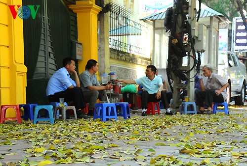 Hanoi in der Jahreszeit, in der die Bäume ihre Blätter fallen lassen - ảnh 11