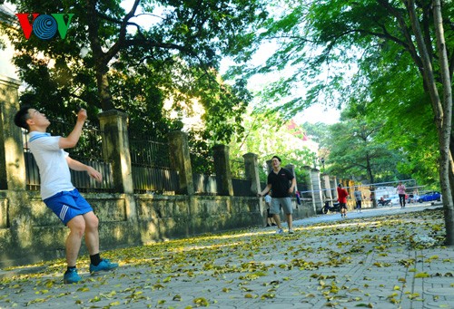 Hanoi in der Jahreszeit, in der die Bäume ihre Blätter fallen lassen - ảnh 12