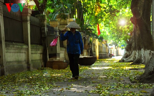 Hanoi in der Jahreszeit, in der die Bäume ihre Blätter fallen lassen - ảnh 9