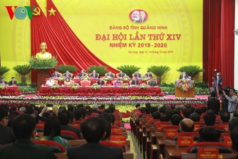 Spitzenpolitiker des Landes nehmen an Parteitag der Provinzen teil - ảnh 1