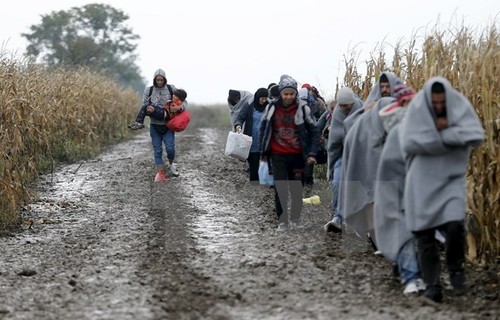 Ungarn schließt Grenze zu Kroatien - ảnh 1