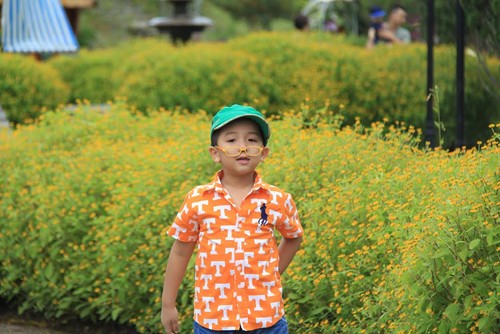 Da Lat, die Stadt des Blumenfestivals - ảnh 1