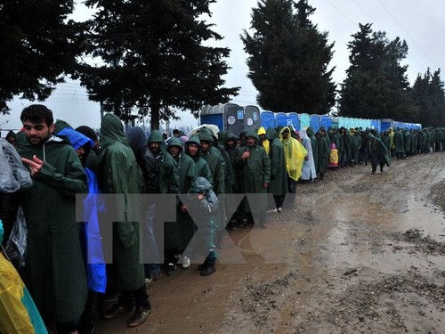 Deutschland und Griechenland kritisieren Balkanländer wegen ihrer Flüchtlingspolitik - ảnh 1