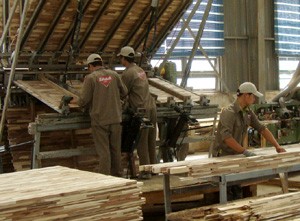Bac Kan fördert kleinere Industriezonen - ảnh 1