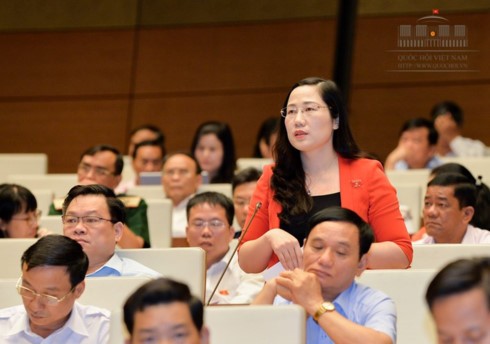 Abgeordnete stimmen Beschluss zur Lösung der Problemkredite zu - ảnh 1