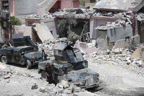 Frankreich und Russland verstärken Terrorkampf - ảnh 1