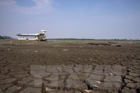 Woche der Nahrungsmittelsicherheit APEC 2017 - ảnh 1